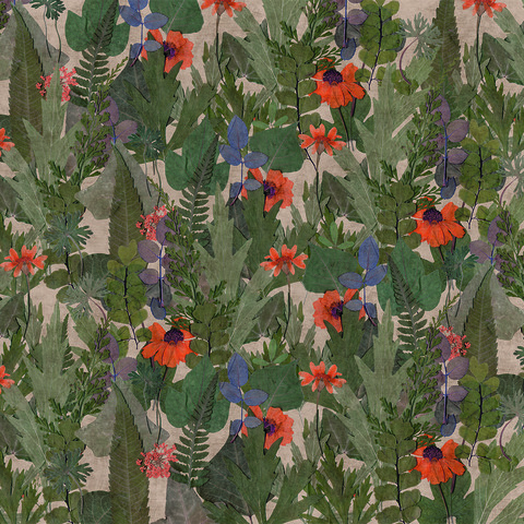 Текстура Herbarium HED27290