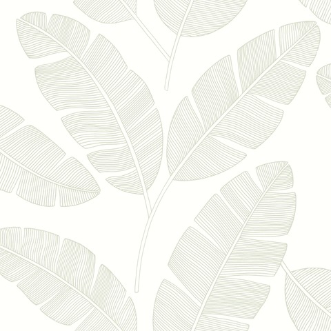 Текстура Green & Co 101100723