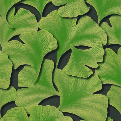 Текстура Ginkgo 86247431