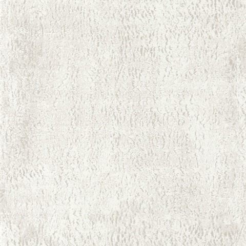 Текстура So white 4 SWHT82610108