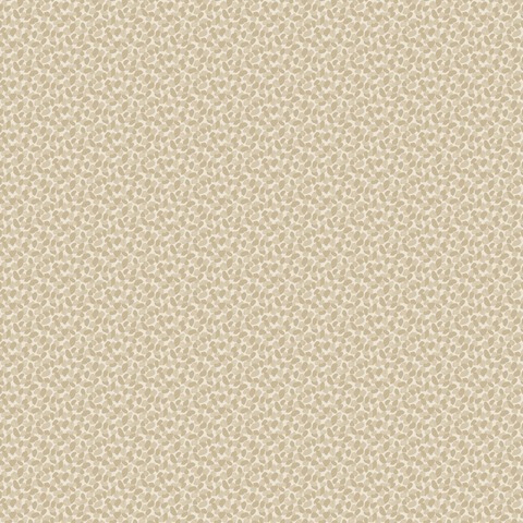 Текстура Danae 103651018