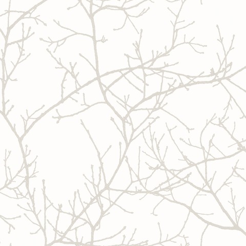 Текстура So white 4 SWHT16960212