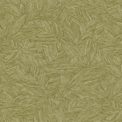 Текстура Borneo 106517187