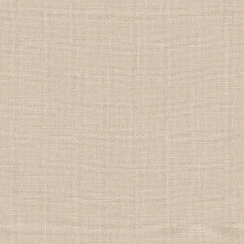 Текстура Jute 104011807