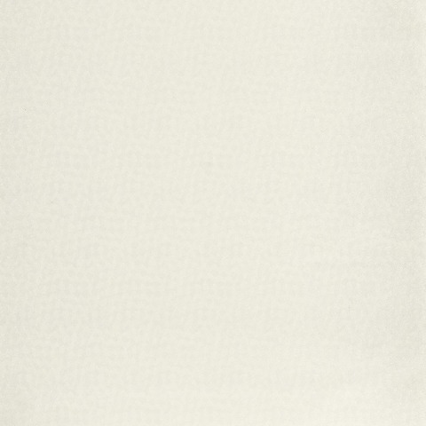 Текстура So white 4 SWHT84420121