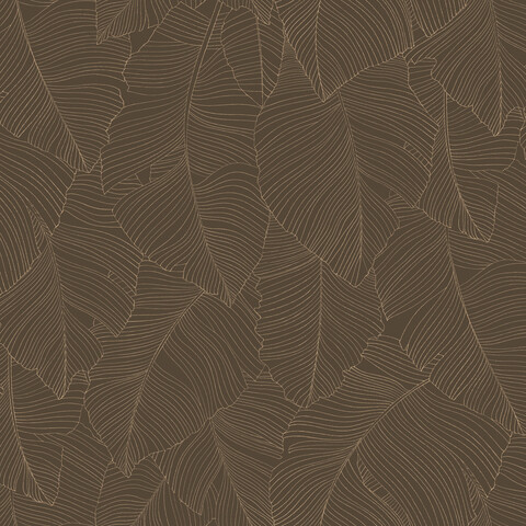 Текстура Borneo 106509027