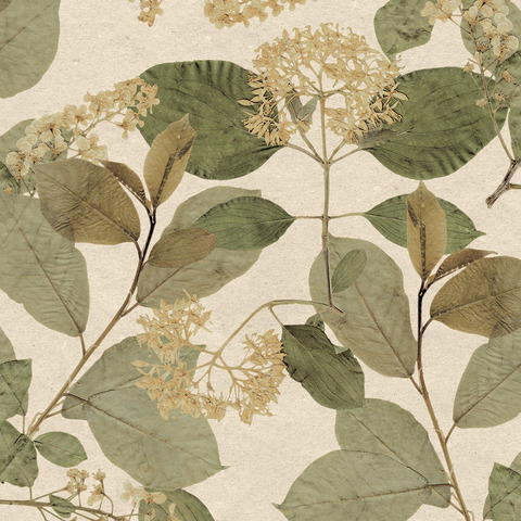 Текстура Herbarium HE27230