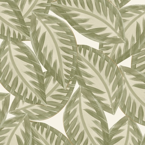 Текстура Green & Co 103900721