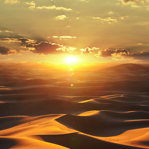 Текстура Dune 32545