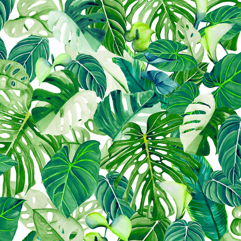 Текстура Spirit of Jungle 47415