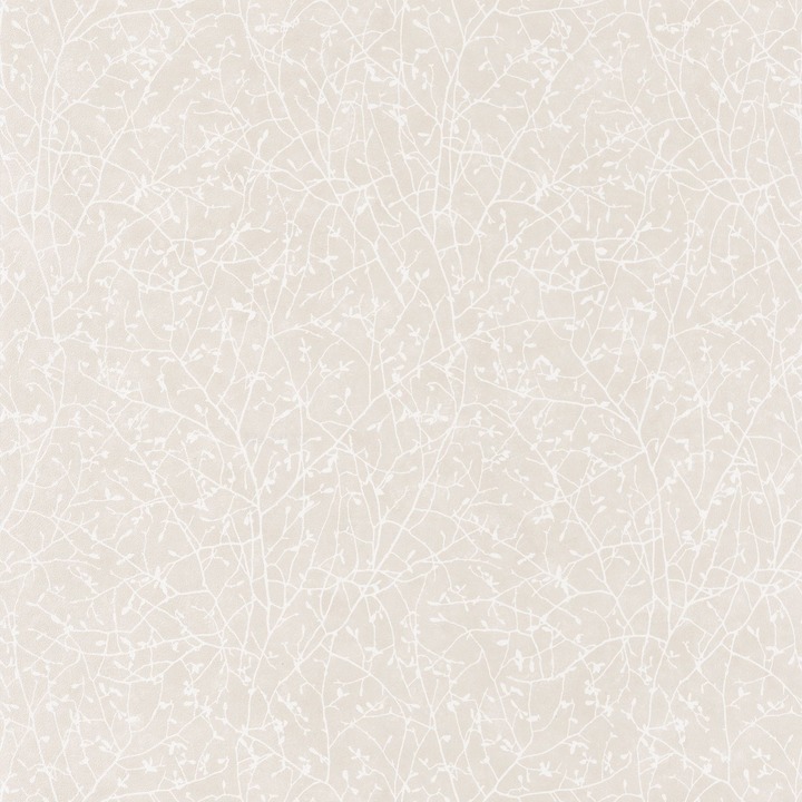 Текстура So white 4 SWHT83771122