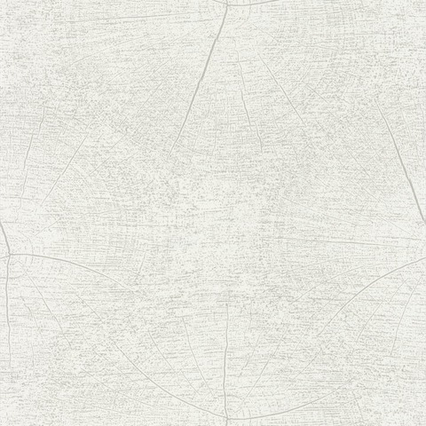 Текстура So white 4 SWHT83760101