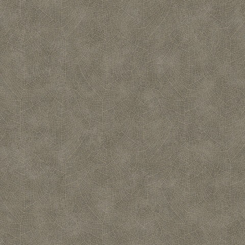 Текстура Woods WOOD26219128