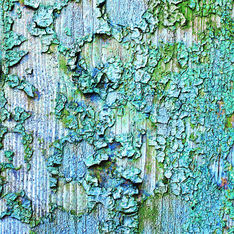 Текстура So wall 2 SWL27346701