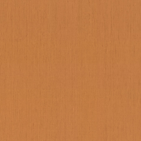 Текстура Indian Style 746099