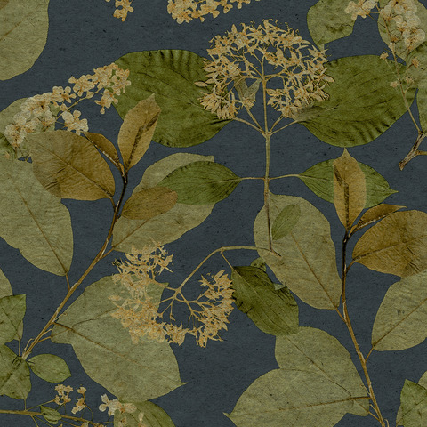 Текстура Herbarium HE27233