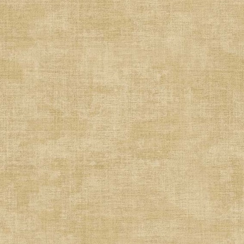 Текстура Pictura 24493