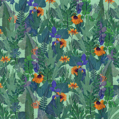 Текстура Herbarium HED27291