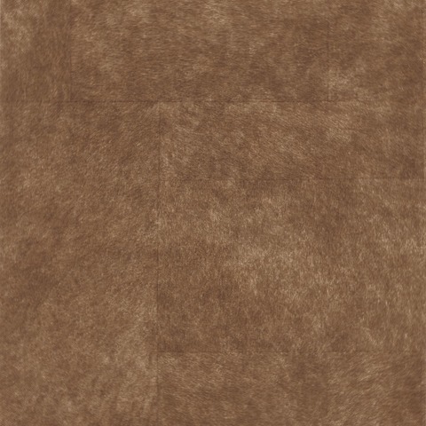 Текстура Leathers 87172512