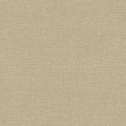 Текстура Jute 104012220