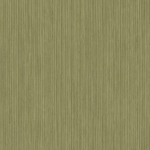 Текстура Encyclopedia ENCY82657343