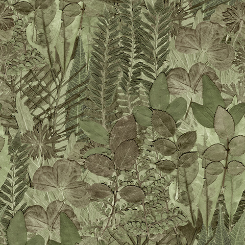 Текстура Herbarium HED27295