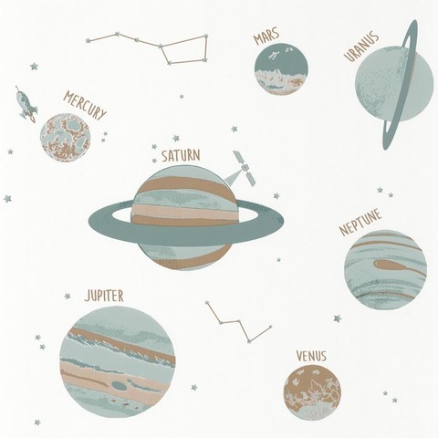 Текстура Our planet 101907102