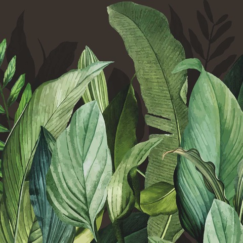 Текстура Tropical 18002