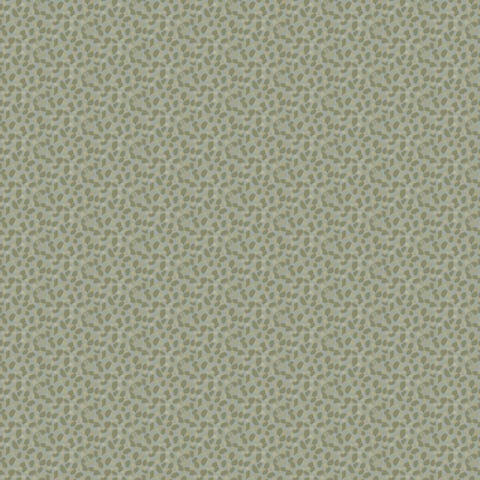 Текстура Danae 103656071