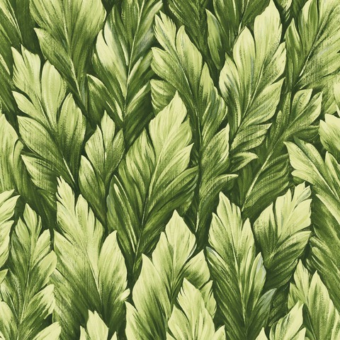 Текстура Tropical 26708
