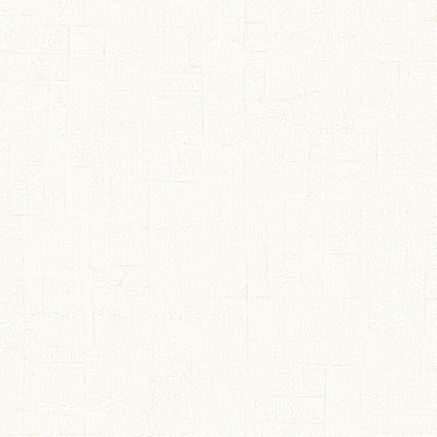 Текстура Encyclopedia ENCY82530123
