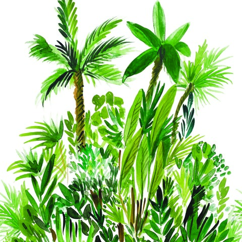 Текстура Green & Co 104007003