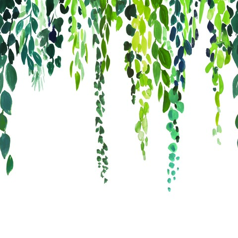 Текстура Green & Co 103997003